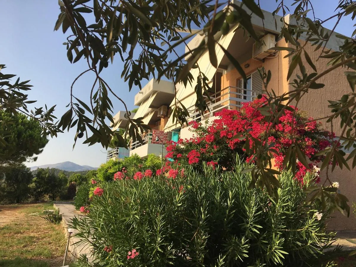 Galini Studios And Apartments Λάσση 0*,